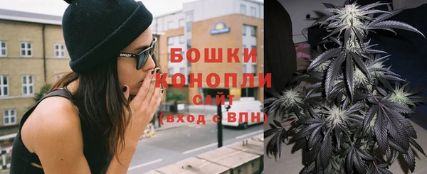 стафф Дмитриев