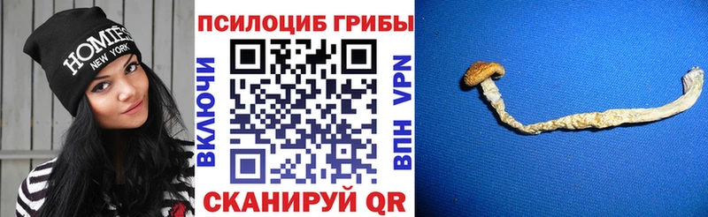 Псилоцибиновые грибы мухоморы  Исилькуль 