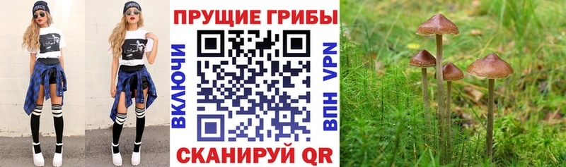 Псилоцибиновые грибы ЛСД Исилькуль