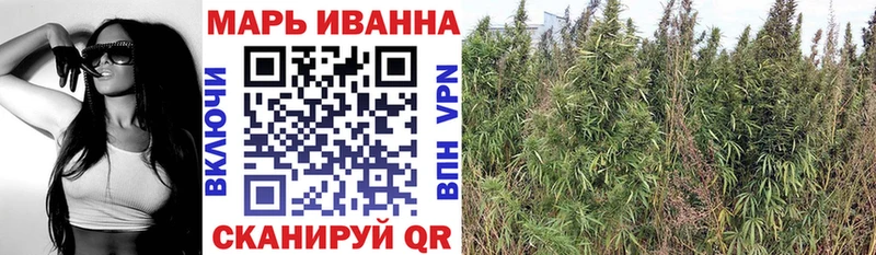 где купить наркотик  Исилькуль  Бошки Шишки семена 